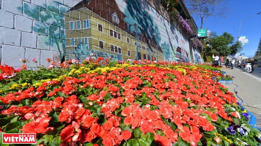 Da Lat, la capitale de l exportation de fleurs